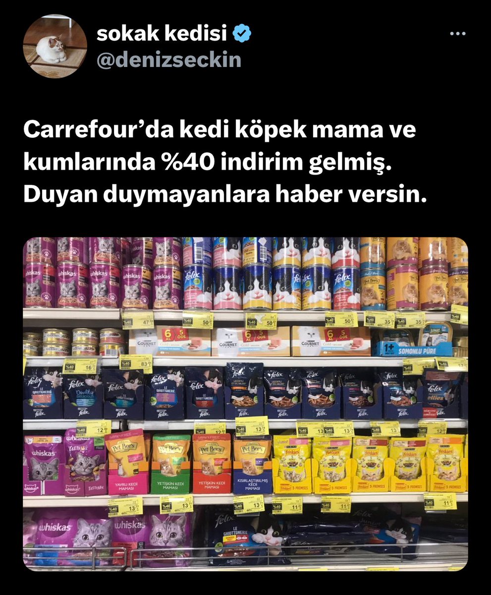 Prof. Dr. Bengi BAŞER (@bengibaser) on Twitter photo 📌Hemen gidip hem evdeki kedimin, hem sokak canlarımın ihtiyaçlarını alacağım… Teşekkürler <a href="/CarrefourSA/">CarrefourSA</a> 📌Hemen gidip hem evdeki kedimin, hem sokak canlarımın ihtiyaçlarını alacağım… Teşekkürler <a href="/CarrefourSA/">CarrefourSA</a>
