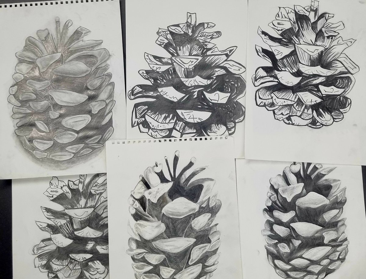 Pencil sketches by our Year 9 artists ✍️🏻⭐️