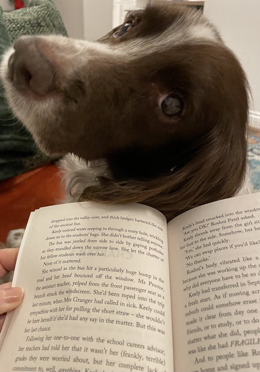 earmstronglib's tweet photo. Perfect way to start the day #viewfromabook #readingbuddy https://t.co/qv8HuEReT2