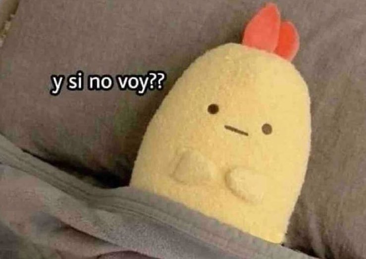 todas las mañanas cuando suena la alarma: