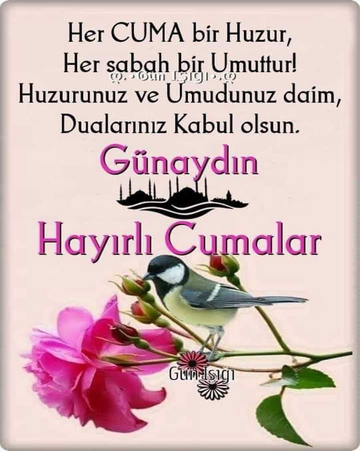 RecepAnaeli's tweet photo. Allah sağlığınızı huzurunuzu daim olsun TÜRKİYEM https://t.co/y9RByWO1Z4