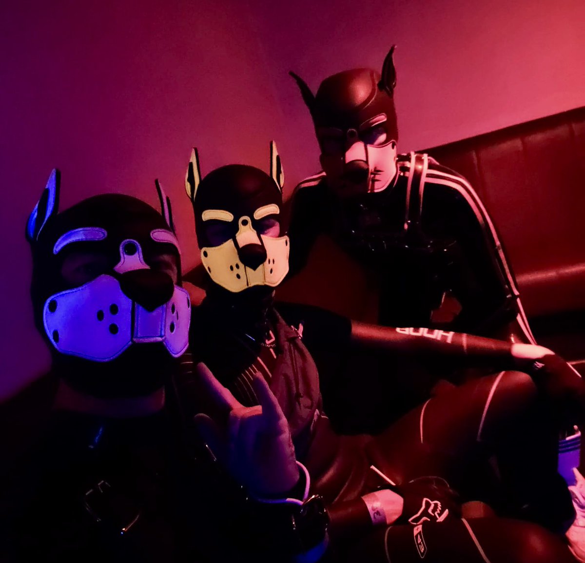 In the club I guess we are the pastel pups 😛🐶 <a href="/pup_crashNZ/">Pup Crash</a> @BunXander #gaypups #rubberpups