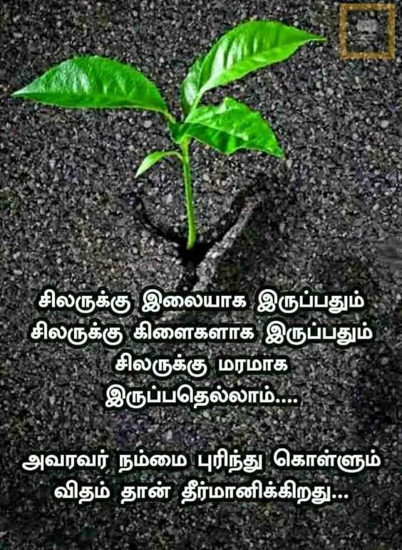 kumarvijayac's tweet photo. இலை..... https://t.co/3vxPk9okhC