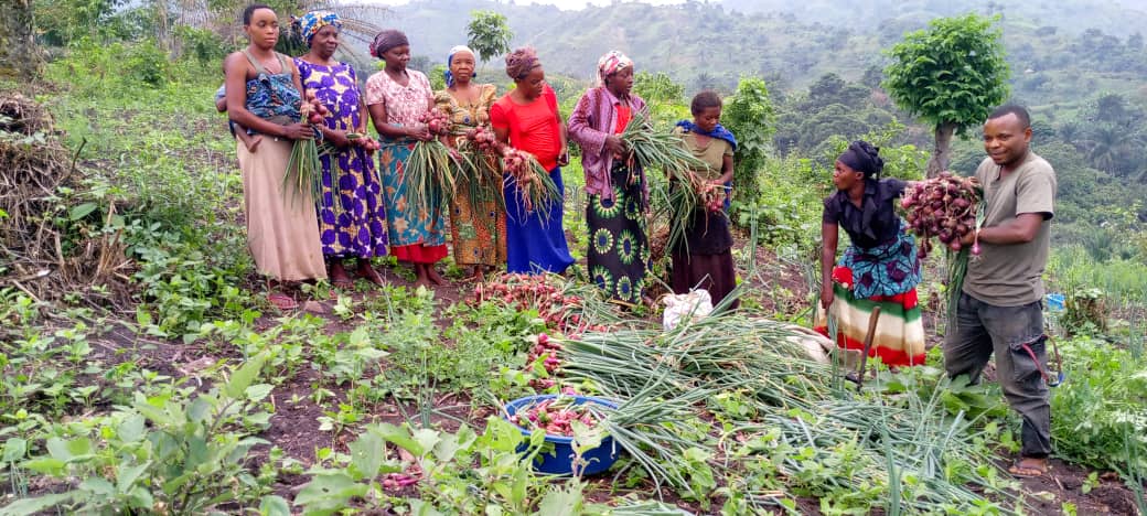 reseau_cref's tweet photo. Record harvest in the new forest concession of Banyangala Kikingi.
671 kg of cabbages and 132 kg of onions harvested thanks to the unity and collaboration of local communities.
A success which shows the potential of community forestry to improve livelihoods. https://t.co/xAt1GGqQFF