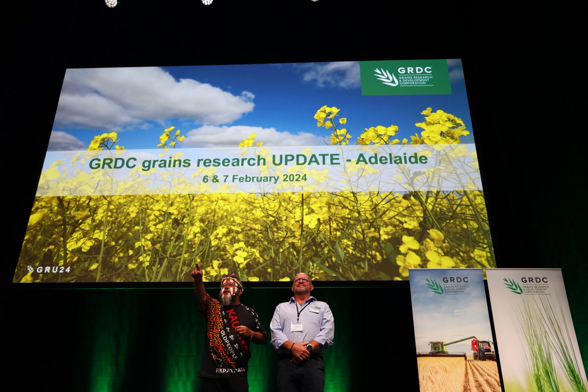 Thanks to the 400+ growers, advisers, researchers, students, media & others who joined us in Adelaide this week for the 2024 Grains Research Update. It was great! 📰Read the papers bit.ly/3OC12By 👉Register for an Update bit.ly/3Hvq81Y #GRDCUpdates