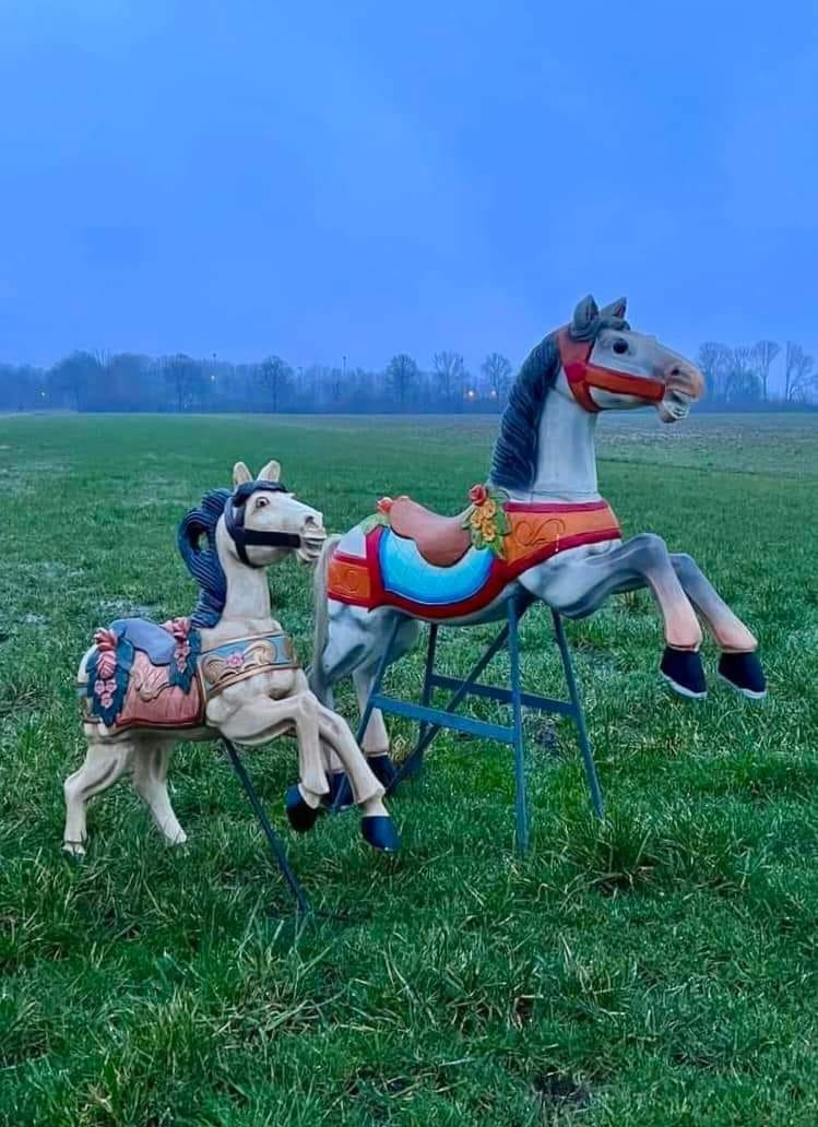RVinkenborg's tweet photo. De eerste vrijgelaten draaimolen-paarden zijn gesignaleerd in Brabant.  (Bron: Atze Lubach) https://t.co/eTaySbHpop
