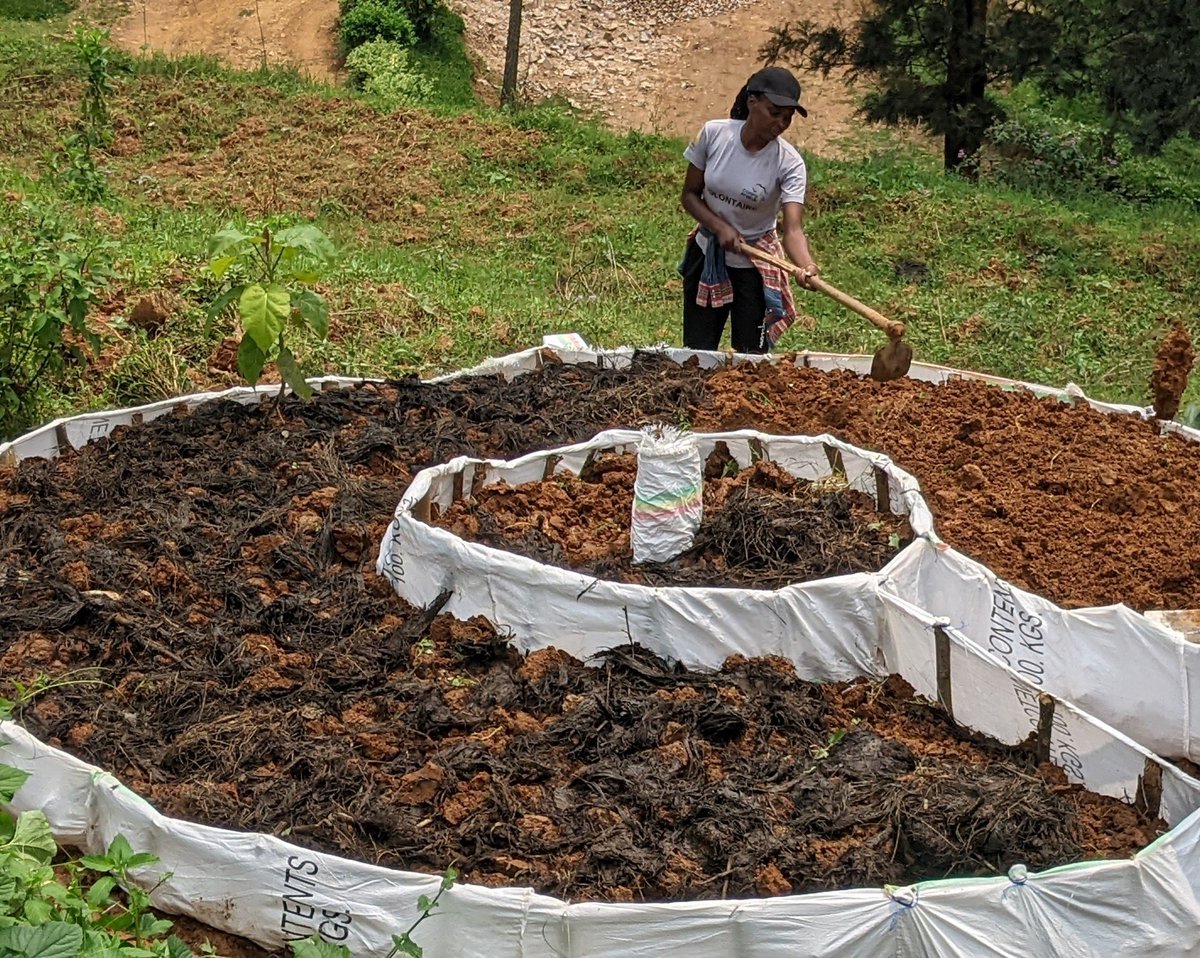 OliveNiyo's tweet photo. Local helping locals in the journey of reaching sustainable development through agricultural practices based on human centered design approach.
#localhelpinglocals 
#thisIscorpsafrica https://t.co/LHtF7rf89o