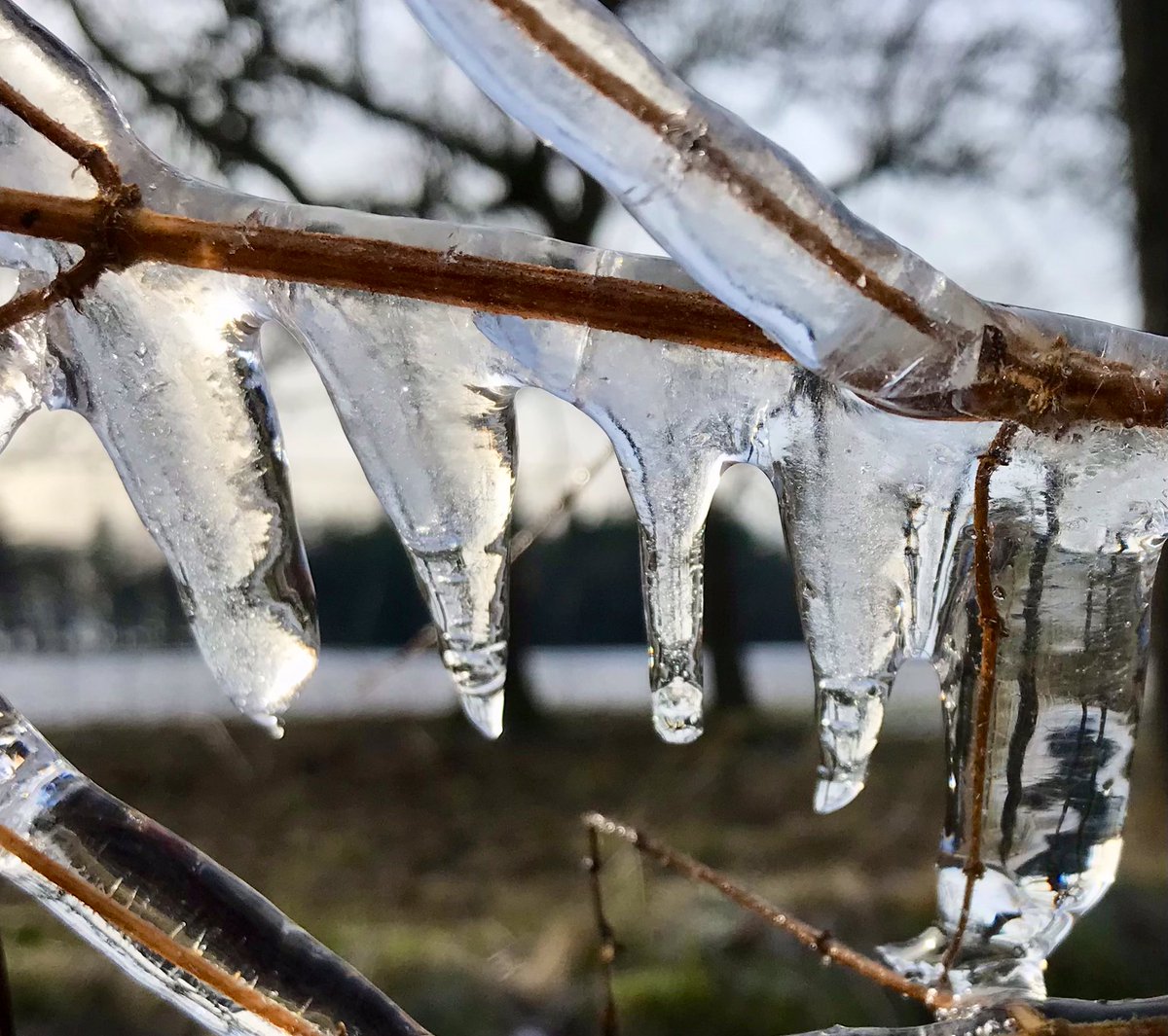 cloudymamma's tweet image. Still held in the grip of the jaws in the ice zone… 

Another morning and and more snow has arrived ⛄️🤍
    
                           enjoy your Friday! ❄️🧊🥶

#Icicles #ThePhotoHour