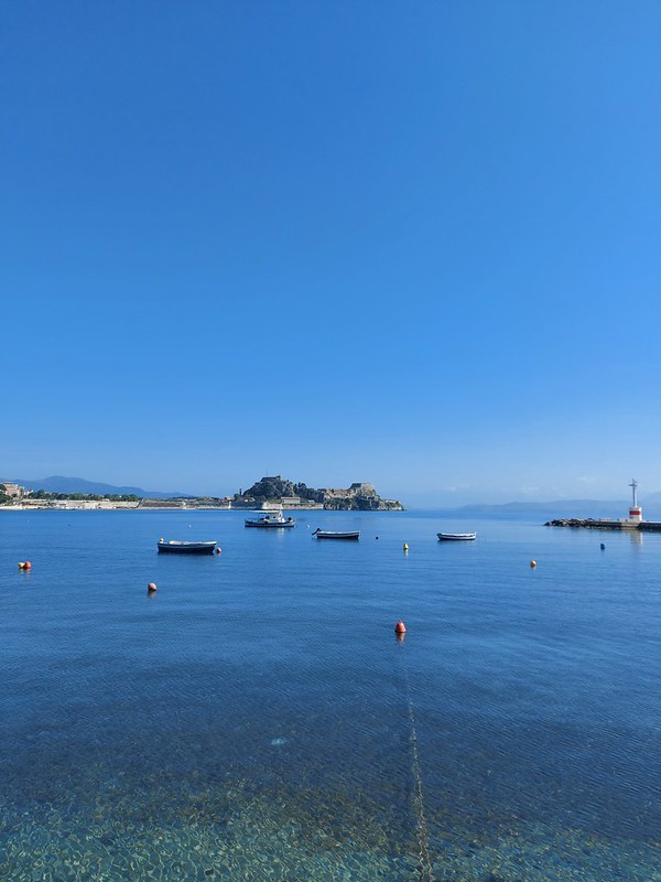 LittleIremia's tweet photo. A view of Garitsa Bay & the Old Venetian Fort seen from near the windmill (Anemómylos) in Corfu Town.
Corfu Town is a 45 minute coastal drive from Little Iremía.
#corfu #corfugreece #corfuisland #corfutown #corfù #corfuoldtown #mykerkyra #corfu❤️ #corfu_island #corfugram https://t.co/68Yx5tcMWs