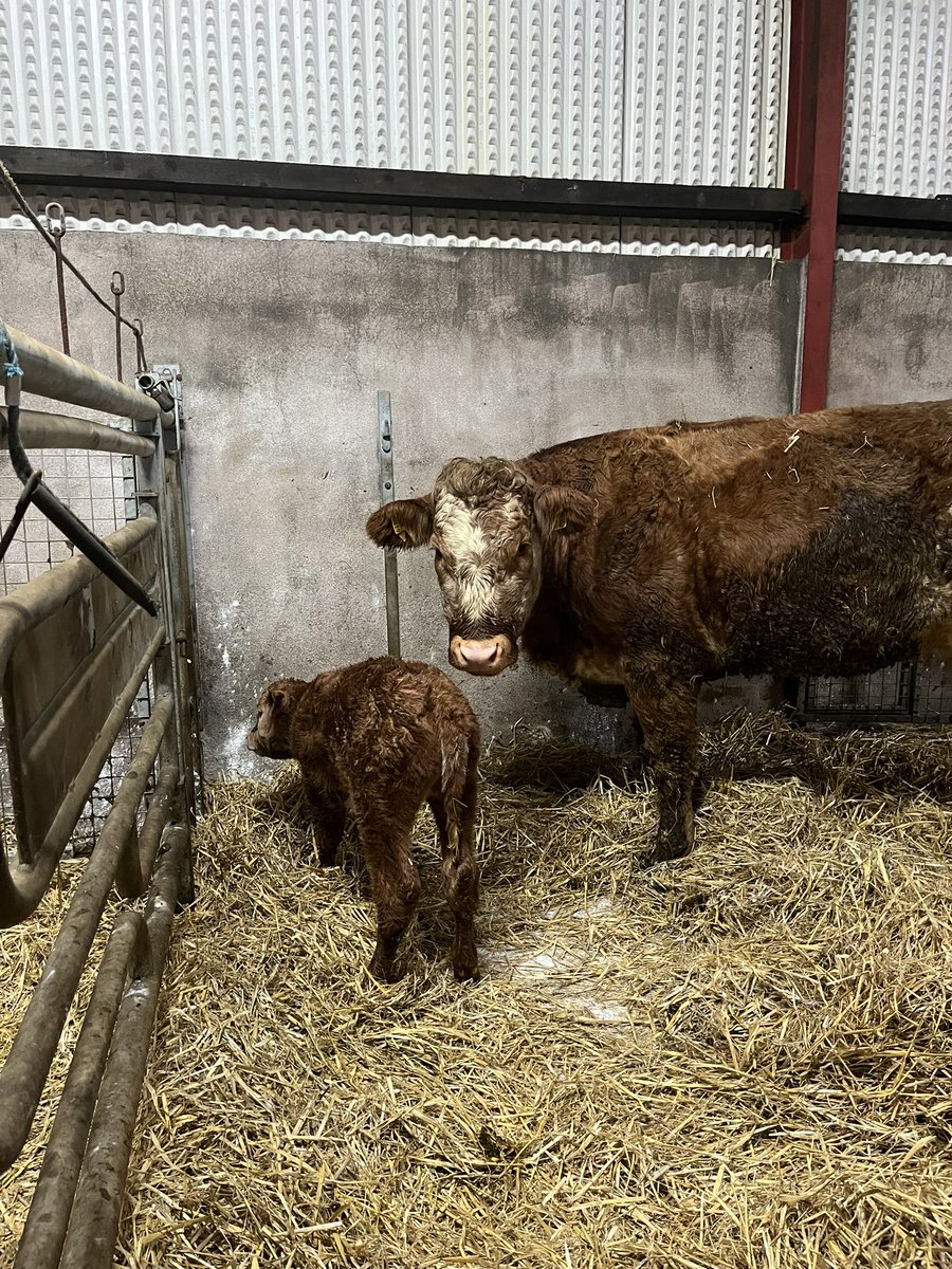 They grow up so fast 🤩