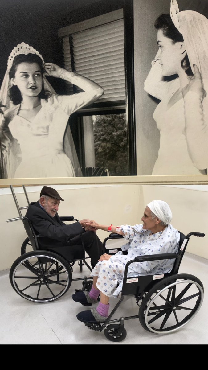 Akiva Novick tweet media