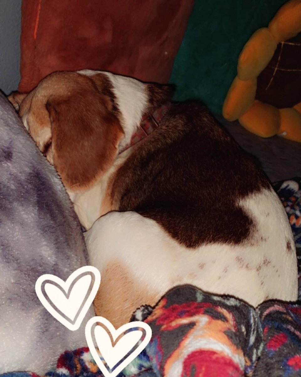Late night cuddles with my girl 💕