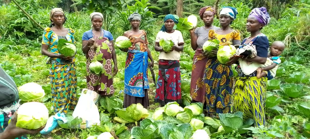 reseau_cref's tweet photo. Record harvest in the new forest concession of Banyangala Kikingi.
671 kg of cabbages and 132 kg of onions harvested thanks to the unity and collaboration of local communities.
A success which shows the potential of community forestry to improve livelihoods. https://t.co/xAt1GGqQFF