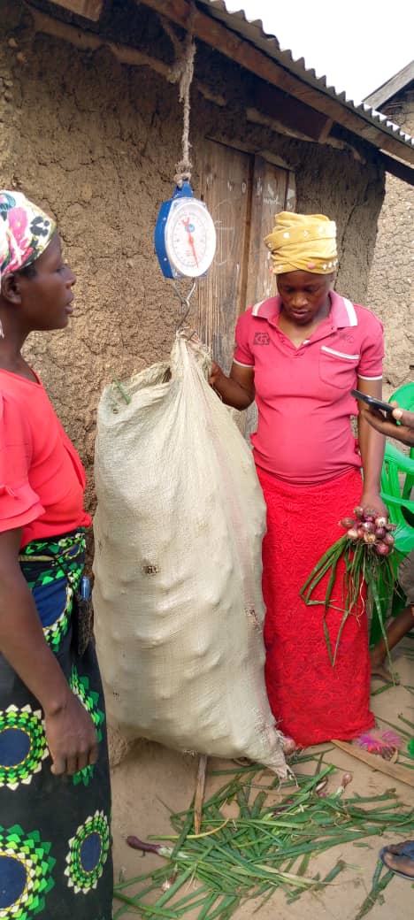 reseau_cref's tweet photo. Record harvest in the new forest concession of Banyangala Kikingi.
671 kg of cabbages and 132 kg of onions harvested thanks to the unity and collaboration of local communities.
A success which shows the potential of community forestry to improve livelihoods. https://t.co/xAt1GGqQFF