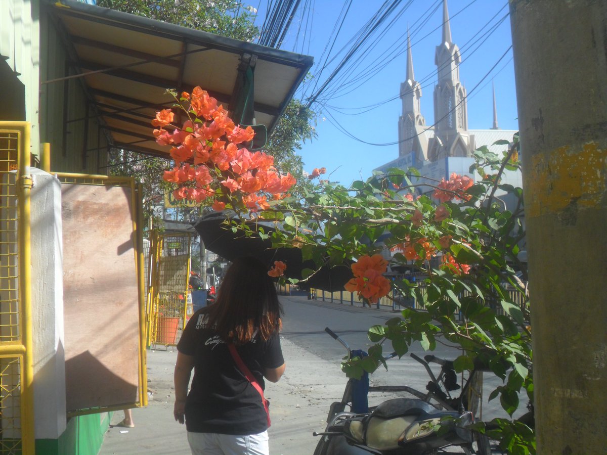 aurelilies's tweet photo. flower thief https://t.co/44mfgvFu7O