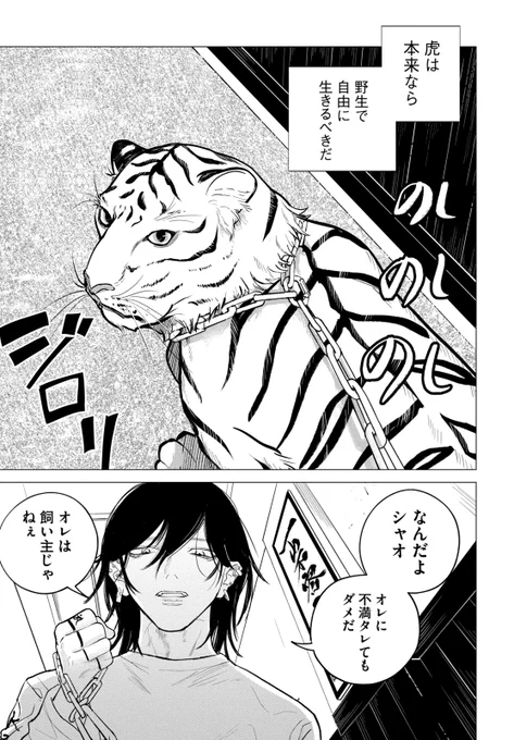 【ちばてつや賞ヤング部門第86回佳作】 『虎と蓮』(1/14)  #漫画が読めるハッシュタグ