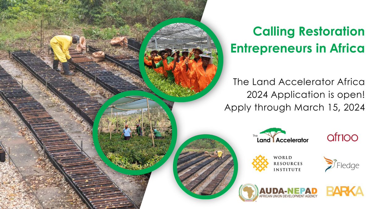 Start this season with a new opportunity for business restoring land in #Africa !

Join the #LandAccelerator Africa 2024 program &amp; increase your skills + knowledge to raise funding and expand your work!

Apply Today:👉bit.ly/3UEPCk2