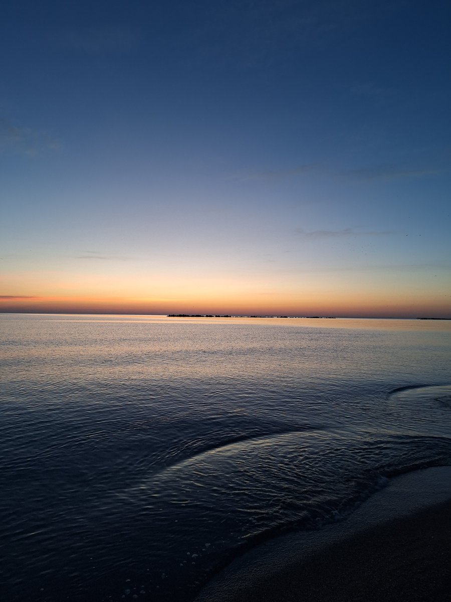 ziarulpozitiv's tweet photo. Răsărit - Constanța, 9 Februarie 2024
Ziarul Pozitiv va continua să surprindă și să împărtășească astfel de momente deosebite, aducând picătura de optimism și relaxare în comunitate.
FOTO: Constantin Cristian
#mamaia #constanta #navodari #mare #plaja #rasarit https://t.co/5L8AavyPZp
