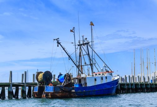 #BrexitReality More coverage of our new paper: 'New research reveals too many ‘broken promises’ in the #fishing industry post #Brexit' york.ac.uk/news-and-event…🐟