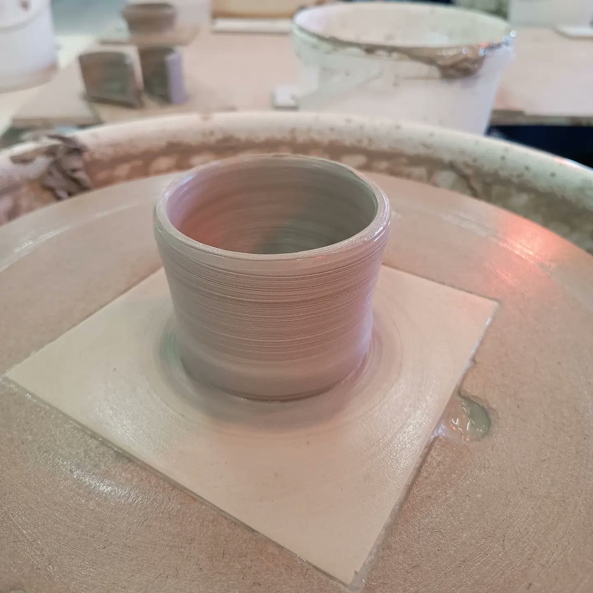 David Bolus tweet media