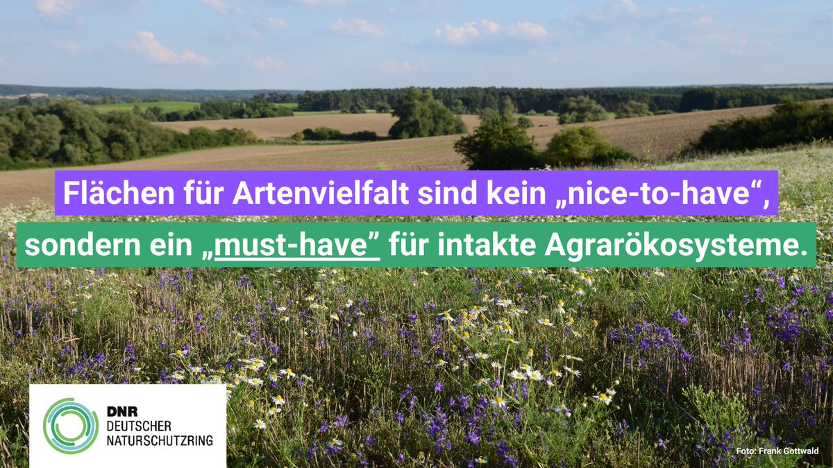 Fatale Entscheidung! <a href="/EU_Commission/">European Commission</a> will Umweltstandard in der #GAP faktisch abschaffen. Das ist ein massiver Rückschritt auf Kosten der #Artenvielfalt. Bundesminister <a href="/cem_oezdemir/">Cem Özdemir</a> @bmel muss der erneuten Aufweichung von #GLÖZ8 eine klare Absage erteilen! t1p.de/wpany