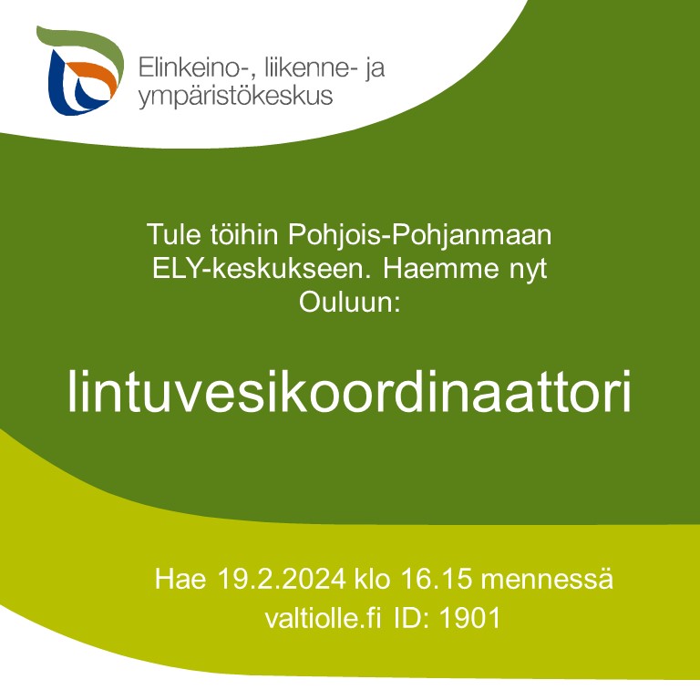 ELY-keskuksessa on avoinna 3 vuoden määräaikainen asiantuntijan tehtävä lintuvesien kunnostusten suunnitteluun ja koordinointiin Pohjois-Pohjanmaan, Kainuun ja Lapin ELY-keskusten alueella. Hae 19.2. klo 16.15 mennessä osoitteessa valtiolle.fi ID:1901 #rekry #ELYkeskus