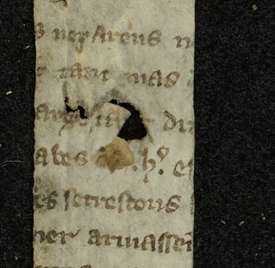 MMFCbe's tweet photo. In Antwerp we found two strips from an Old French epic text. We'd be very grateful to anyone who could help us with the identification of this text. The main character in the passage is a duke 'H' but unfortunately the scribe has abbreviated the name. https://t.co/zQ4yWOtI4u https://t.co/gZU7Yw61pB