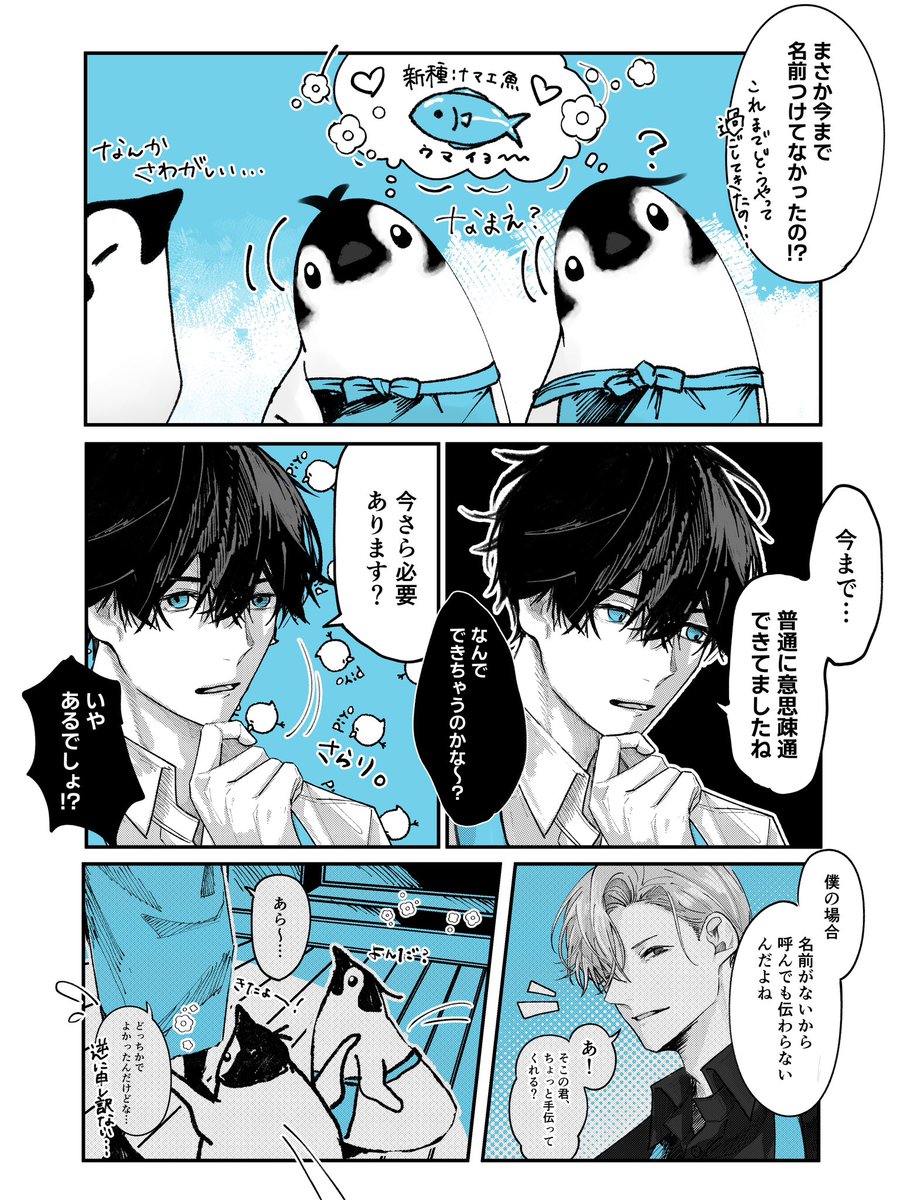 アイコンタクトの関係🐧✨ 