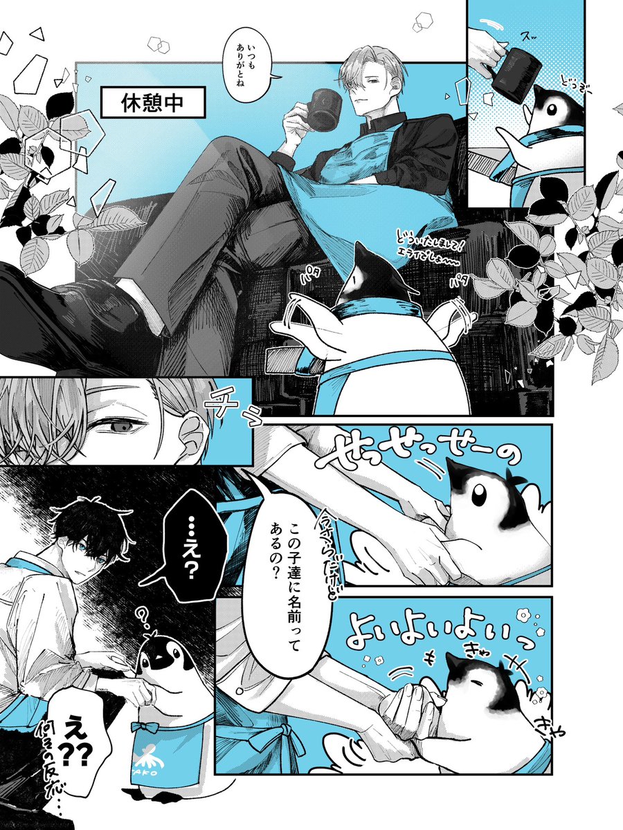 アイコンタクトの関係🐧✨ 
