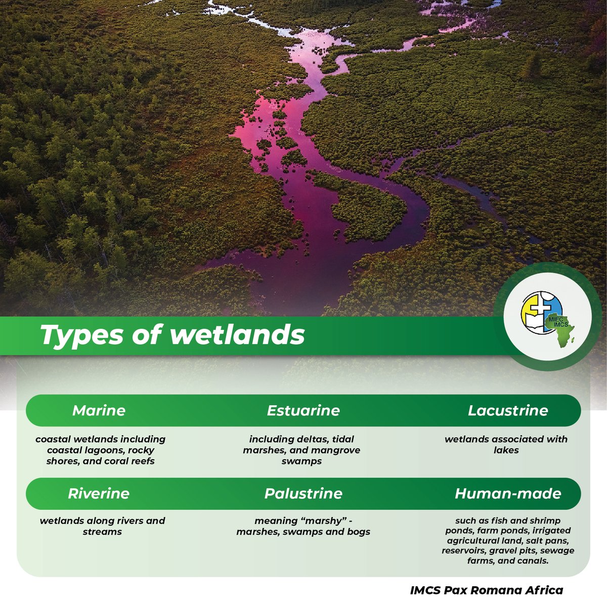 IMCS_AFRICA's tweet photo. What types of Wetlands do you know?
Check out tomorrow for ways to restore wetlands. https://t.co/xOe7gqEVze