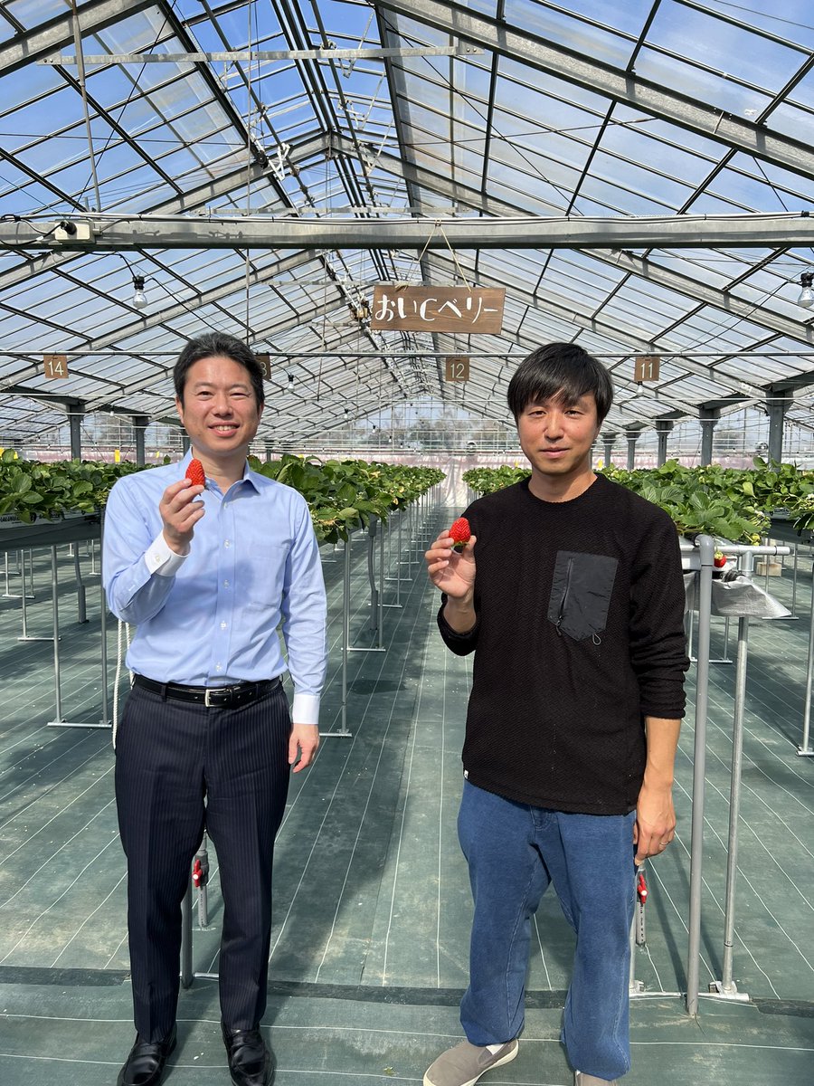 常滑市榎戸でいちご農園「いちごろ」を営む伊藤さんのハウスへ。いちご