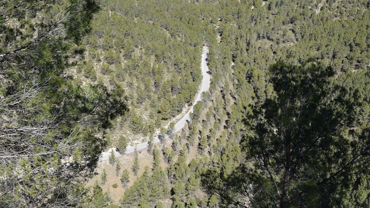 La presencia de infraestructuras contra #incendios #forestales, basadas en el manejo de #combustible, puede suponer una fuente de #biomasa debido a la necesidad de trabajos periódicos de mantenimiento y mejora.
<a href="/Forestia_eu/">Forestia</a>
<a href="/eforestal/">educación forestal🇪🇺</a>
<a href="/Selvicultores/">Selvicultores</a>
<a href="/industriambient/">IndustriAmbiente| Waste, Water, Energy - Infoedita</a>
<a href="/biomasmur/">Grupo Operativo Biomasmur</a>