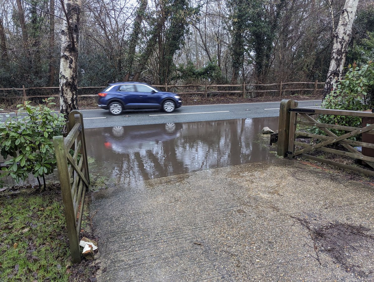 James Halfhide tweet media