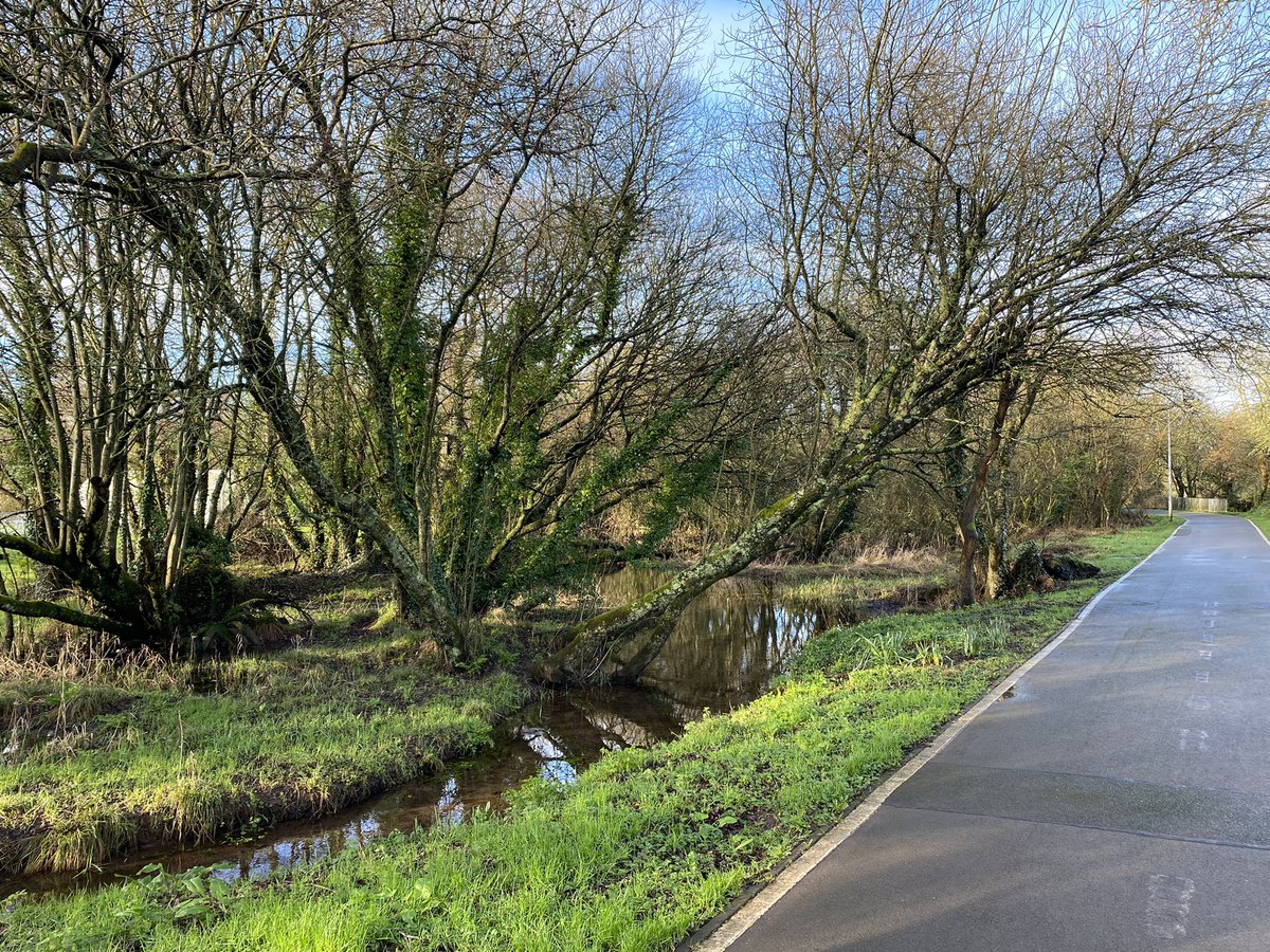 DanJCB001's tweet photo. Day 40 of our #100daysofwalking .
Lovely morning for walking on our day 40. Well done to fellow walkers 👏👊🔥🏃‍♂️🌞🍀 #Cork #Bishopstown #MurphysFarm @davidahorgan @NTBreakfast #CorkGAA #CCFC84 #NewstalkFM @NewstalkFM #Spring https://t.co/ZFjzl4NR91