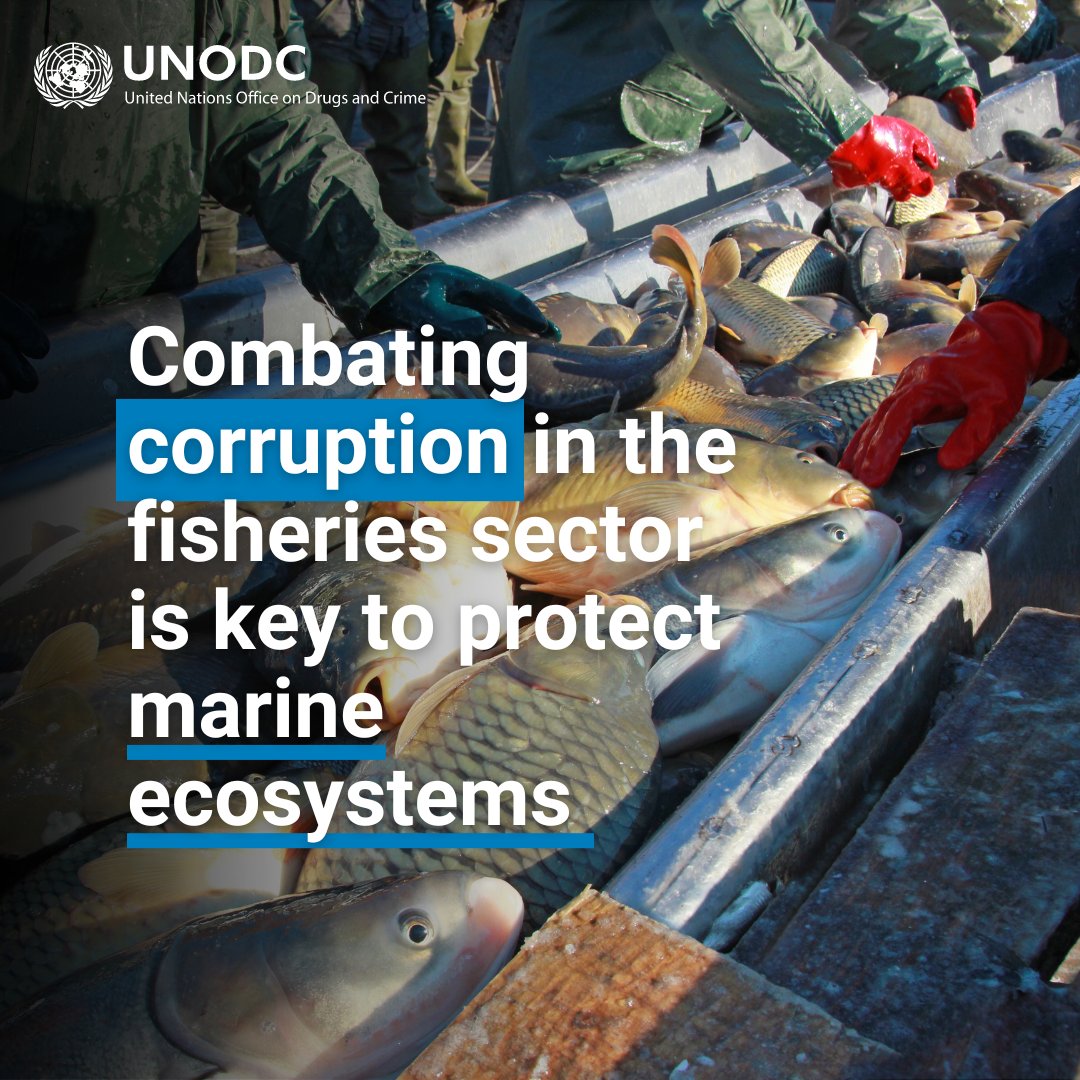 Corruption, fraud, money laundering, and human trafficking are common risks in the fisheries sector. We must protect our oceans and marine life by bringing criminal groups to justice through coordinated cross-border law enforcement. #endENVcrime