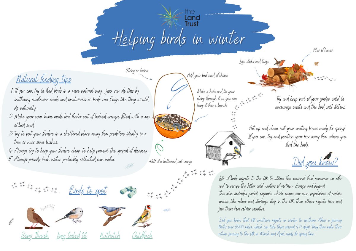 Green Angels - the Land Trust tweet media