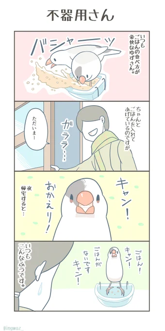 不器用さん。

#漫画が読めるハッシュタグ #Buncho #文鳥 