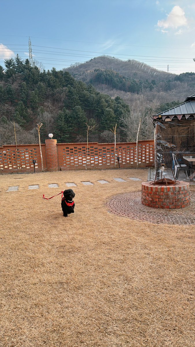 ddak_ji's tweet photo. 즐거운 명절 되세요 ! https://t.co/anlDCxk4Gl
