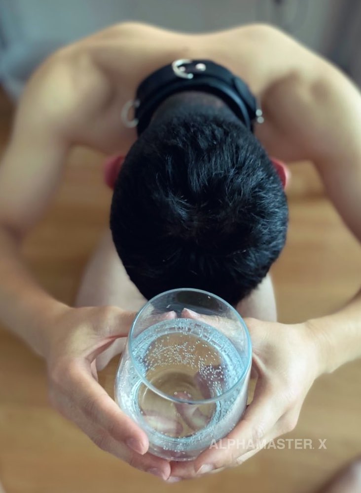 alphamaster_ger's tweet photo. Strict rules and a strict protocol apply in MY house. This is how MY chinese house servant has to hand ME a glass of water. 👇🏻🧎🏻

#highprotocol #strictrules #bdsm #houseslave #masterslave #collared https://t.co/OYibSBUoDN