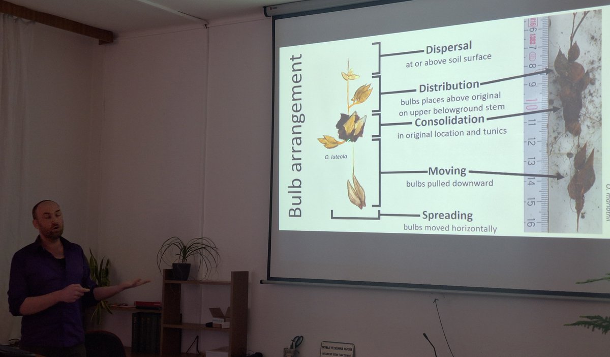 ExFuMo1's tweet photo. 💥Next edition of every year's FunEcol seminar at @IBOTCZ  by @ExFuMo1  🌷Two inspiring days full of functional ecology. Thanks to the speakers for the great talks and the audience for the vivid discussion! 
#traits #functional #ecology #GoBelowground #storage #clonality #buds https://t.co/9LPkaaUouo