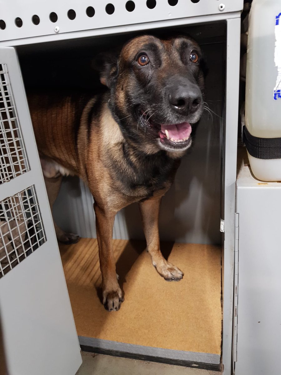 Sellossa nähdään <a href="/112paiva/">112-päivä</a> 

#Leevi #poliisikoira #lupoliisi #poliisi