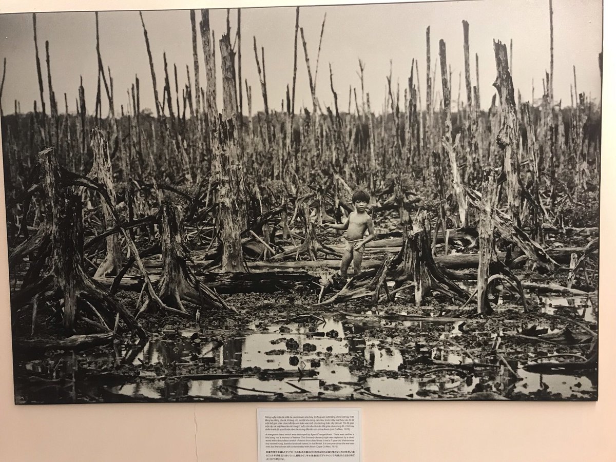 Hasta siempre 🇻🇳. Ha sido un placer.