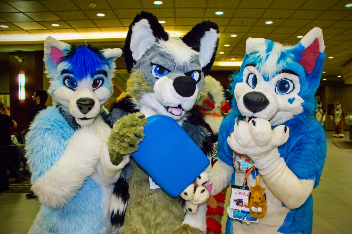 SarahZeines's tweet photo. Vous connaissez les "#FandomFurries"?  

Cette espèce est en pleine croissance en #Suisse.

Aux USA, le #trend est tel que des écoles ont établi des directives #anti-#furry et des députés veulent des lois pour réguler leurs comportements.

Enquête (comment) à lire @heidi_news https://t.co/e2kNoNlFny