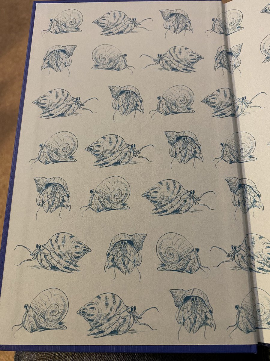 BardyMum's tweet photo. A poem or two with my breakfast, from @approx21words beautiful book of  50 fifty-word poems ‘A passing on of shells’. Just look at those lovely end papers too! Illustrations by @chrisriddell50 
#childrenspoetry #kidlit #poem https://t.co/NKvJ6bhu21