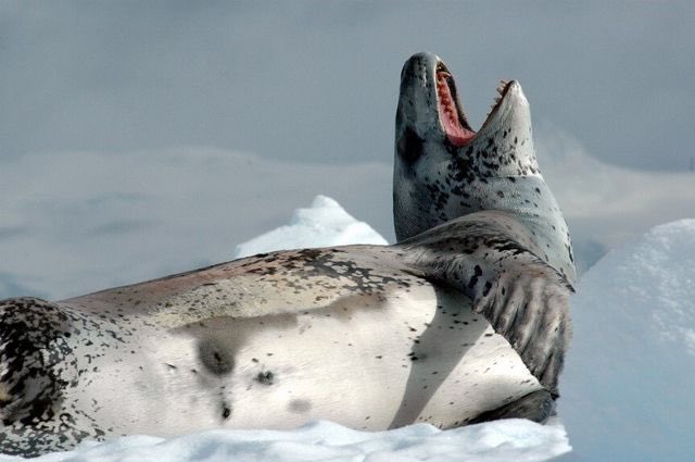 Trevelyan May tweet media