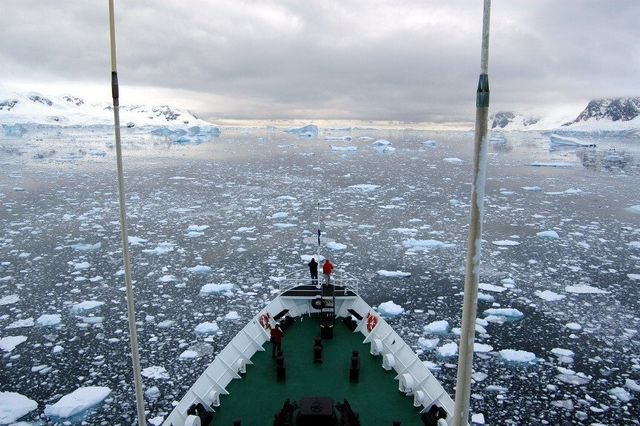 Trevelyan May tweet media