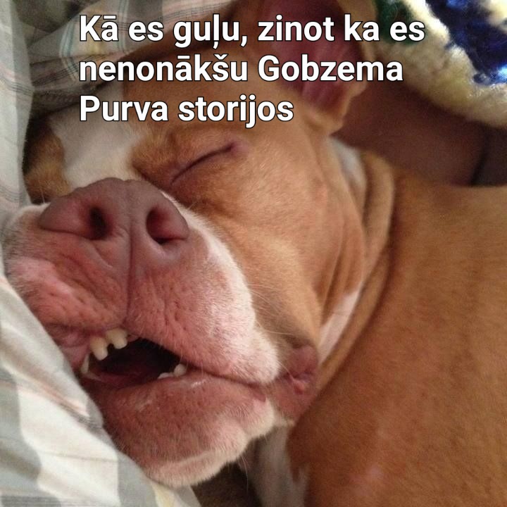 __Sindya___'s tweet photo. Kāpēc X klusē par šo Bombu?
Kamēr #lvmediji guļ un nodarbojas ar s***diem, Gobzems rāda,kā ir jāstrādā!
#gobzems #lvmediji #slavenības #atmaskošana #instagram #latvijasinfluenceri https://t.co/M4HdEyg0sg