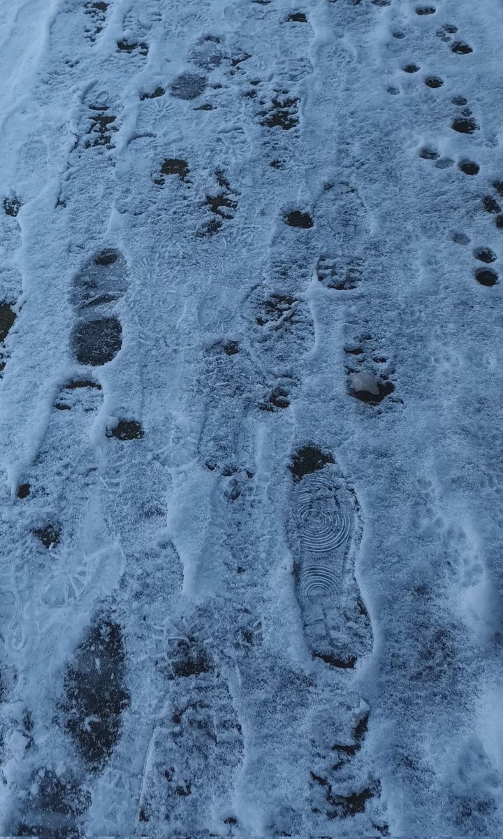 HofGerrit's tweet photo. Gaan de weersomstandigheden🌨🌧 voor 2e achtereenvolgende dag voor afgelasting 🏃➡️🏃➡️zorgen? Nee toch???🙆♂️ #latermeer https://t.co/5cwZ3mpMdu