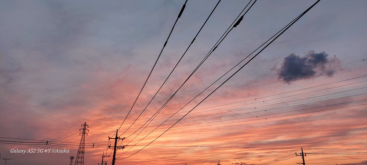 yumeasutw's tweet photo. 盛大に焼けました🌆

日没後、西から北の空が
見る見る薔薇色に🟥🟧✨

#イマソラ
#茜雲 #紅雲
#夕空 #夕焼け #鉄塔 #電柱 #電線
#マジックアワー #ゴールデンアワー  #薄明 #sunset
#空の名前
#天気の図鑑 #雲の超図鑑 #気象のはなし
#a2024  #a0209 #a202402 #a2024022 https://t.co/H6NyWLyBra