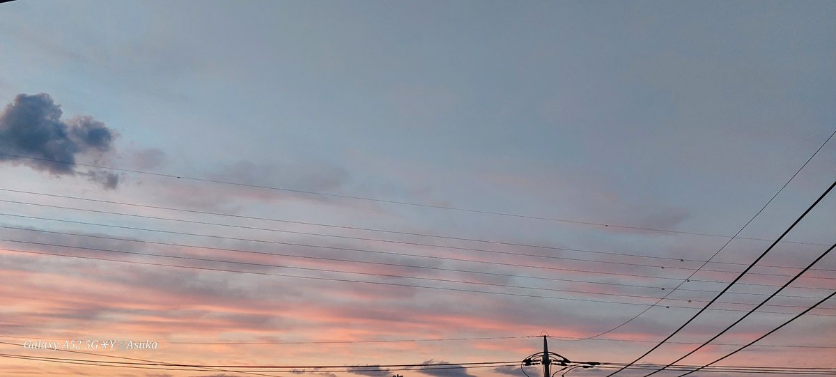 yumeasutw's tweet photo. 盛大に焼けました🌆

日没後、西から北の空が
見る見る薔薇色に🟥🟧✨

#イマソラ
#茜雲 #紅雲
#夕空 #夕焼け #鉄塔 #電柱 #電線
#マジックアワー #ゴールデンアワー  #薄明 #sunset
#空の名前
#天気の図鑑 #雲の超図鑑 #気象のはなし
#a2024  #a0209 #a202402 #a2024022 https://t.co/H6NyWLyBra